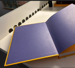 Endpaper that affixes to cast is the first pages of the book