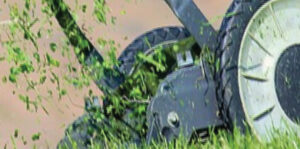 Lawnmower cutting grass